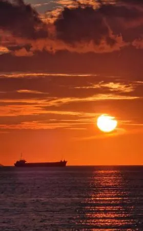 Lovely Duplex With Patio, 100m From The Beach! *