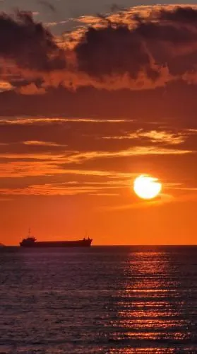 Lovely Duplex With Patio, 100m From The Beach! *